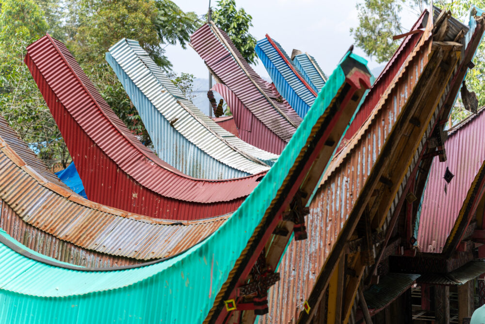 coloeful roofs from the unique toraja houses