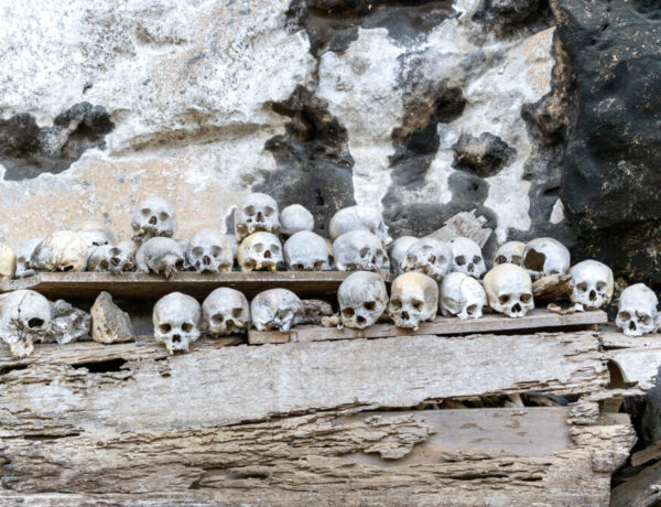 human skeletons on a rock wall