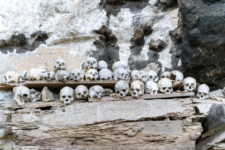 human skeletons on a rock wall