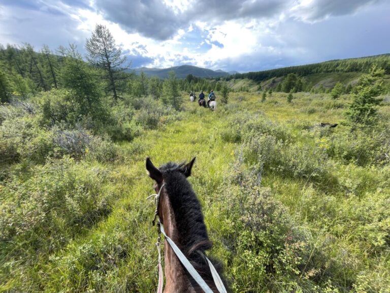 horse trudging through a thick green mongolia environment