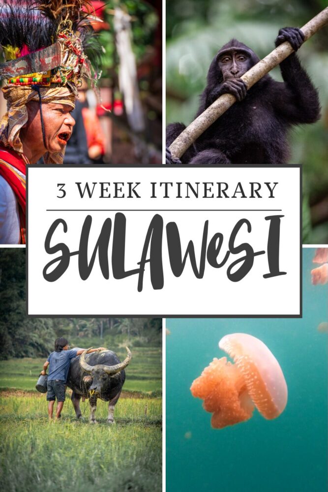 sulawesi travel advice