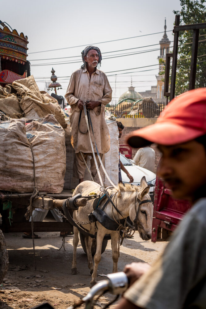 man standing on top of a donkey cart in a busy street in Pakistan 