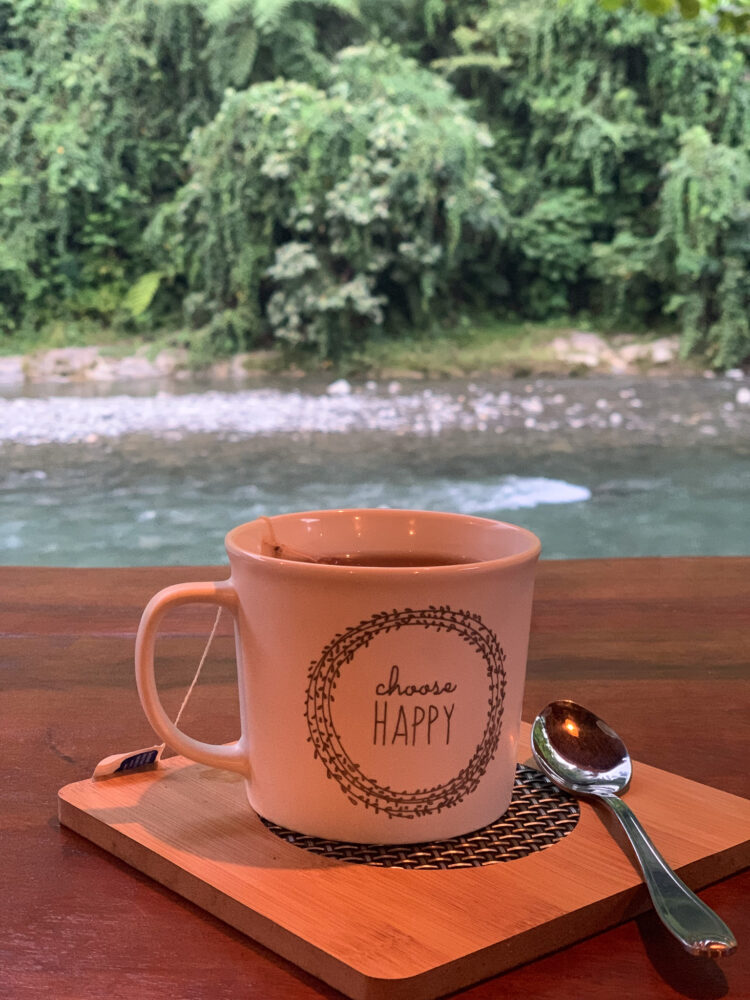 drinking a cup of tea by the river in sumatra considering Where to See Orangutans in the Wild