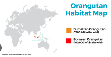 map of Where to See Orangutans in the Wild