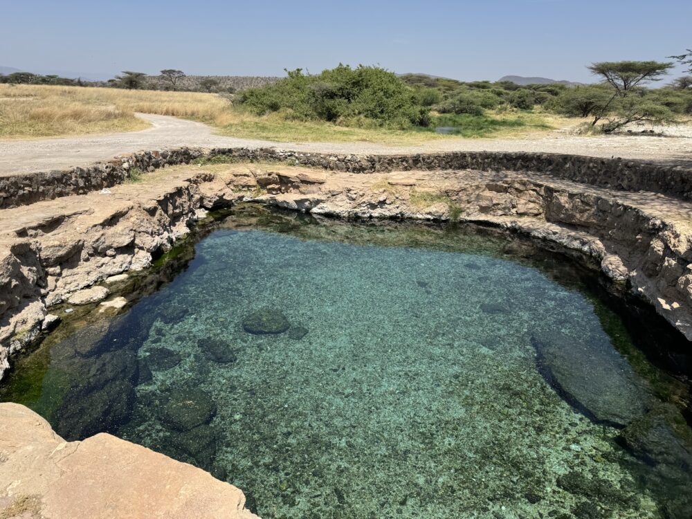 Very clear blue spring in the middle of the desert