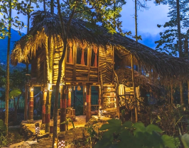 off the beaten path Vietnam Itinerary  treehouse in jungle 