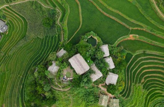 off the beaten path Vietnam Itinerary  rice fields from above 