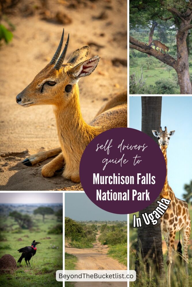 Murchison Falls National Park Guide