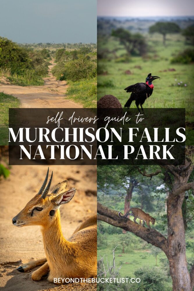 Murchison Falls National Park Guide collage 