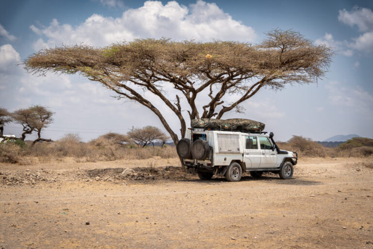 white landcruiser underneath a tree in the desert