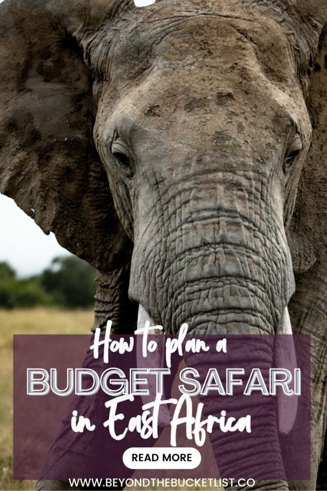 Budget Friendly safari pin 1