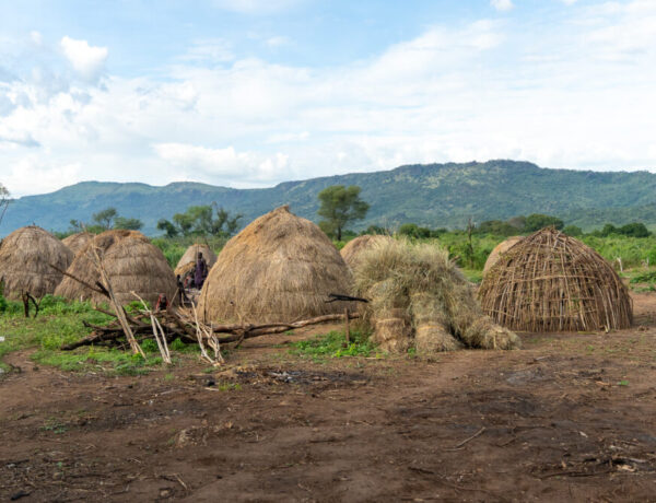 a collection of woven huts in the green landscape of Ethiopia