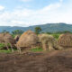 a collection of woven huts in the green landscape of Ethiopia