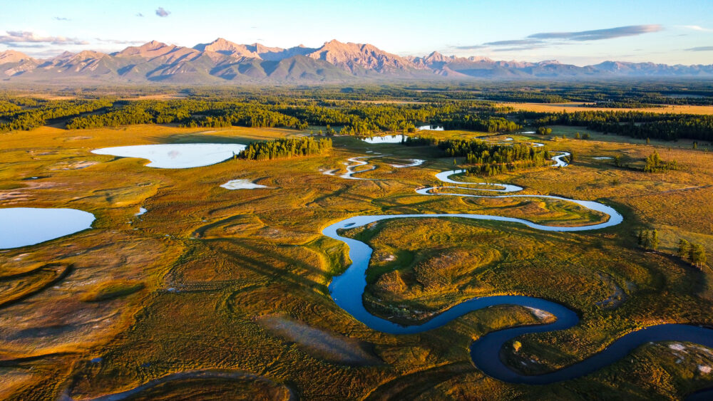an aerial view of rivers in mongolia
