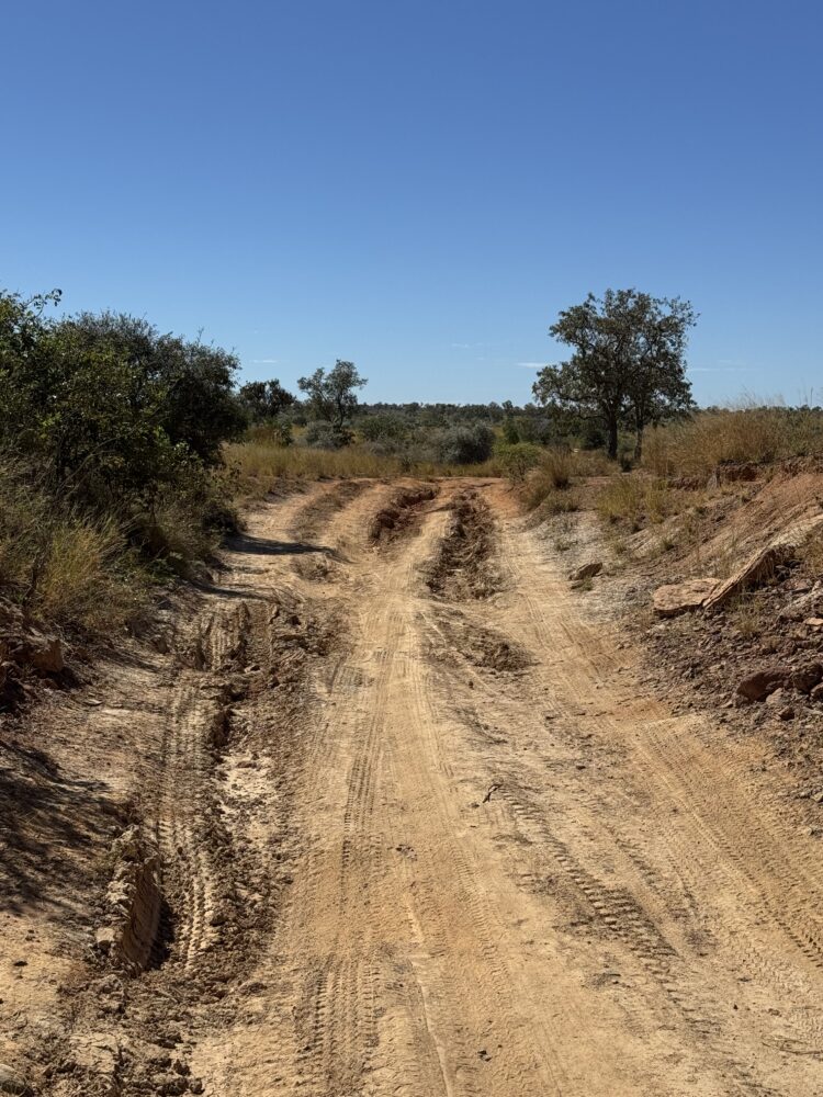 Madagascar Road Trip 