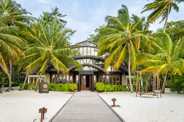 Palm fringed Angsana Velavaru from the front