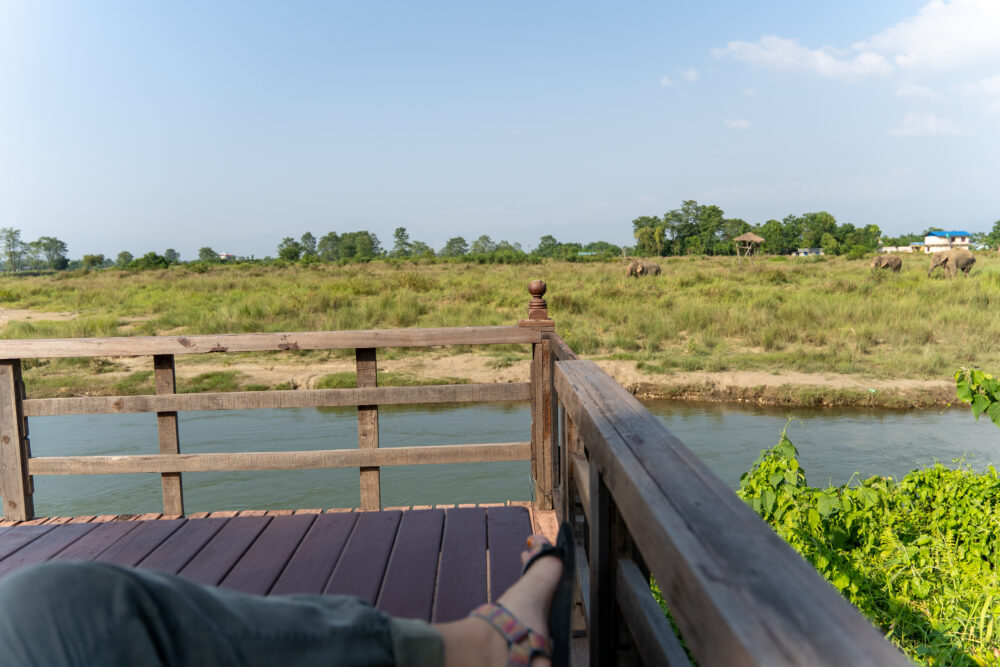 View over the river at Sapana Village Lodge 