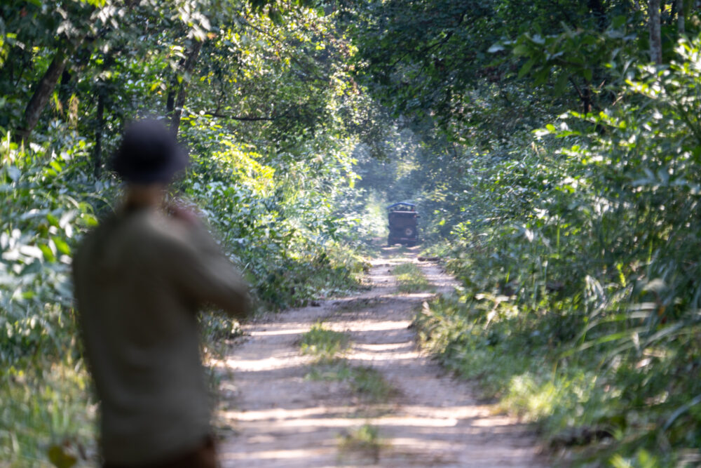 Man looking down a very bushy road in Chitwan National Park. 