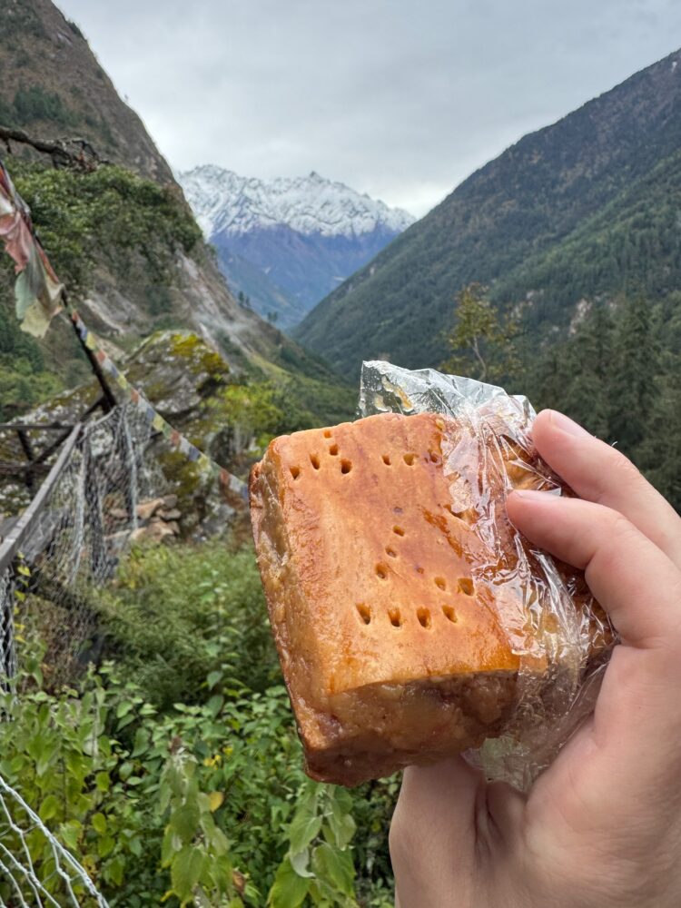 Apple pie square with mountains in the background