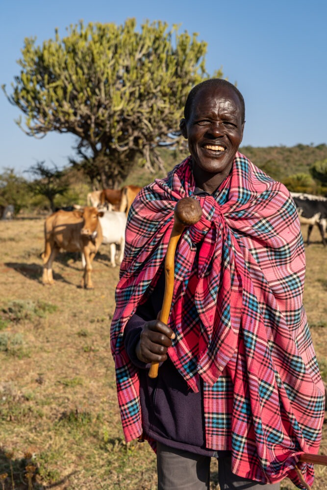 Maasai chief poses with his cows 