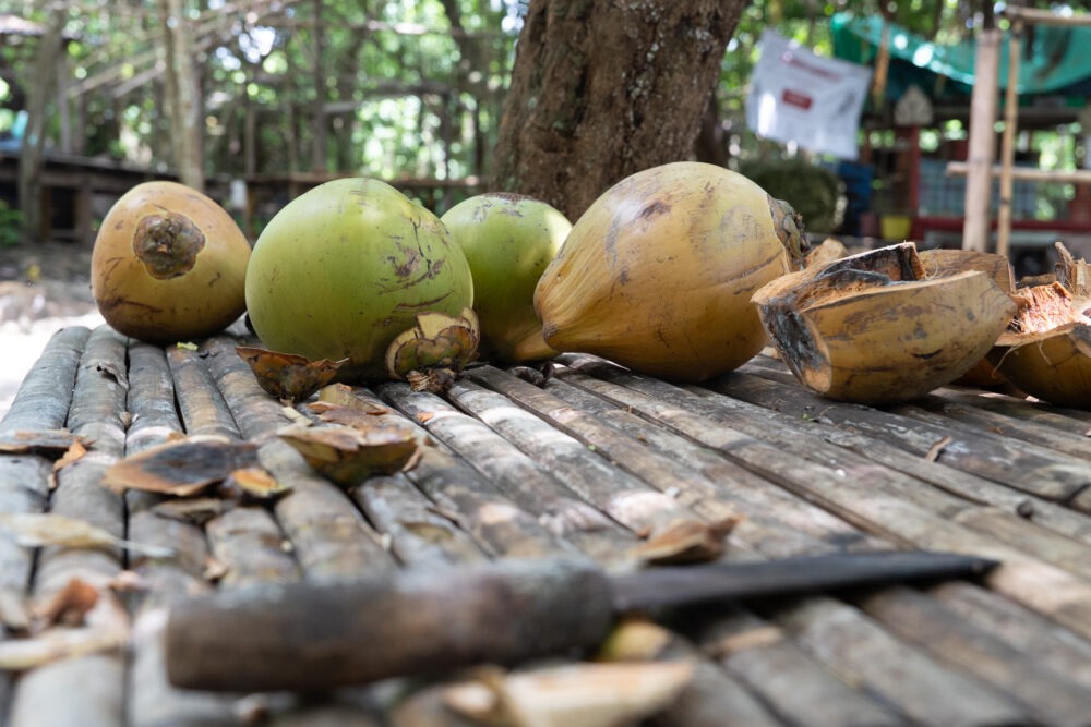 coconut and a machete