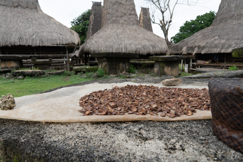 betel nut in front of houses 