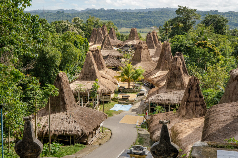 traditional village homes 