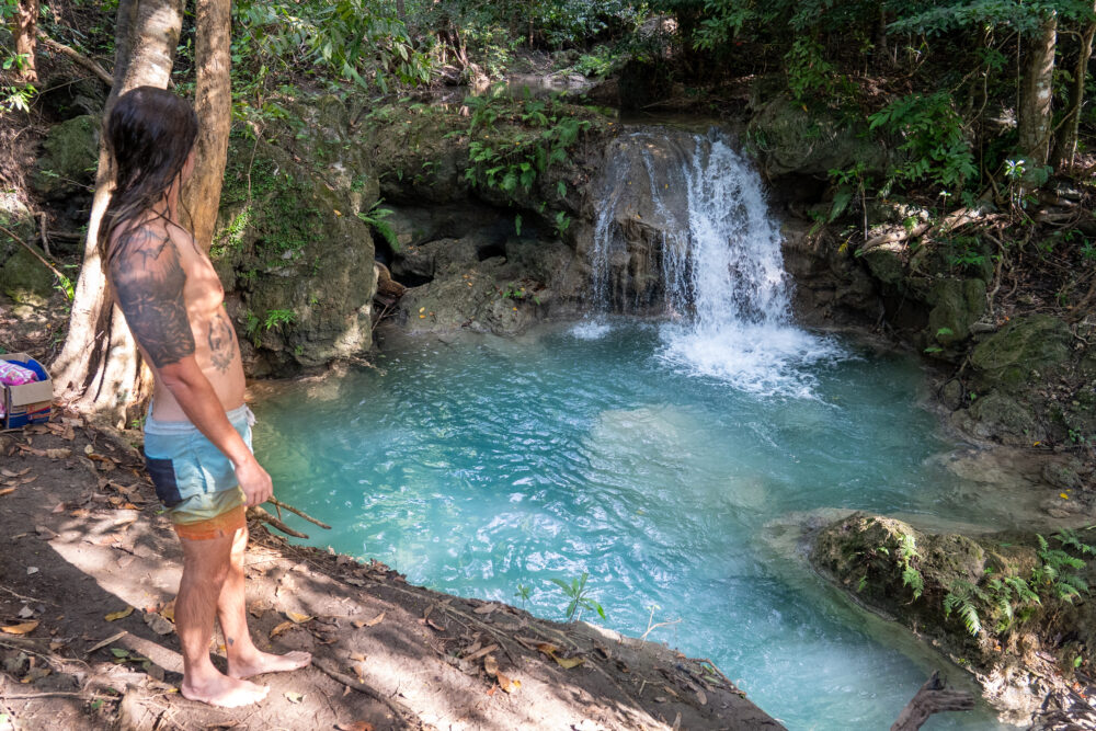 jungle waterfall 