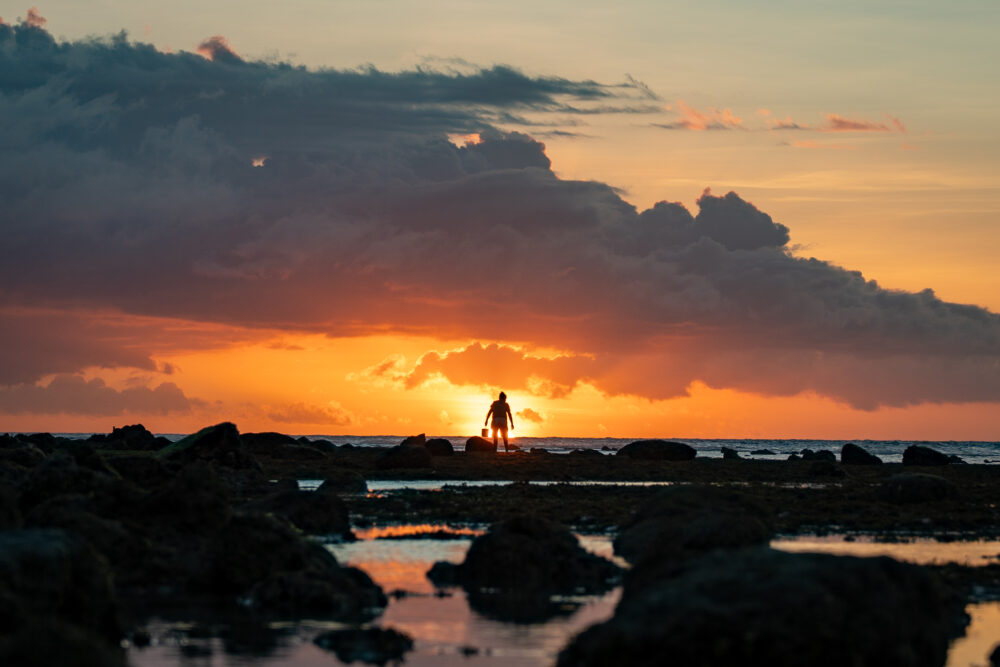 a beach at sunset with a person searching the tide pools 